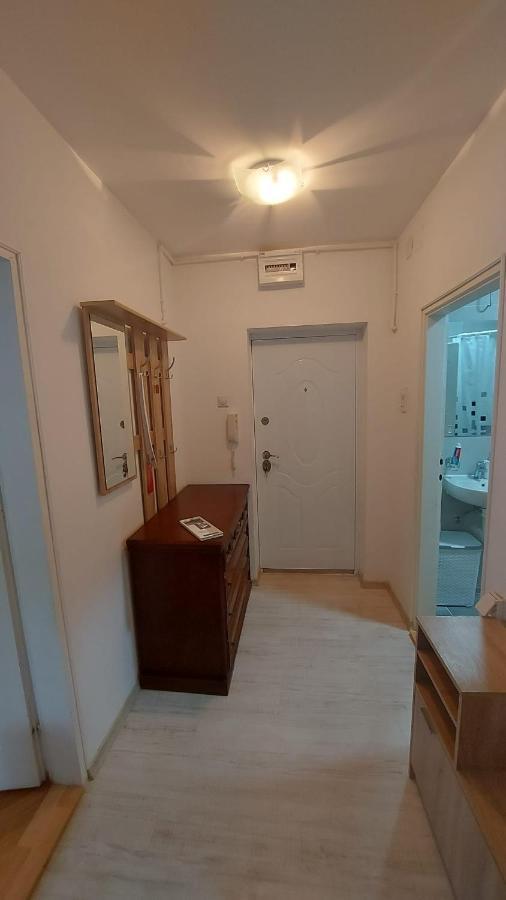 Apartman Milica 브르사츠 외부 사진