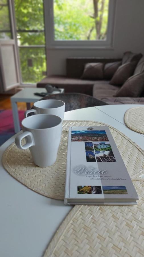 Apartman Milica 브르사츠 외부 사진