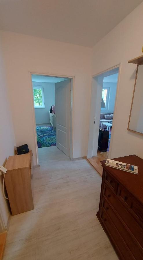 Apartman Milica 브르사츠 외부 사진