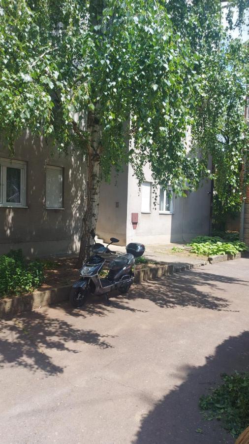 Apartman Milica 브르사츠 외부 사진