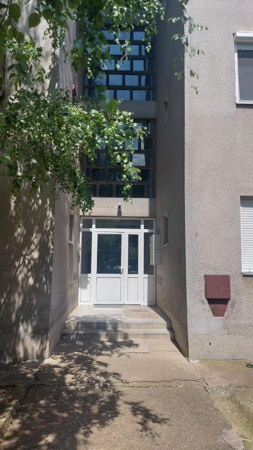 Apartman Milica 브르사츠 외부 사진