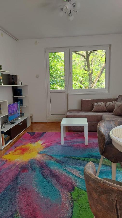 Apartman Milica 브르사츠 외부 사진
