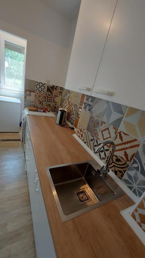 Apartman Milica 브르사츠 외부 사진
